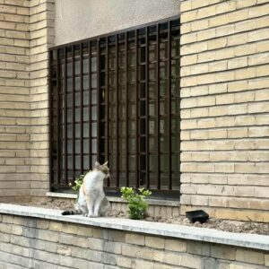 حفاظ پنجره در عظیمیه کرج