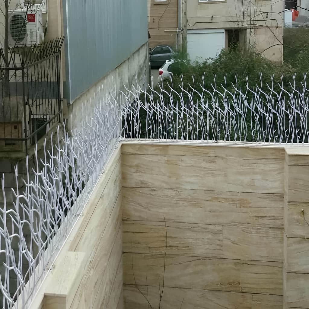 حفاظ شاخ گوزنی با نصب تراز روی لبه دیوار ویلا