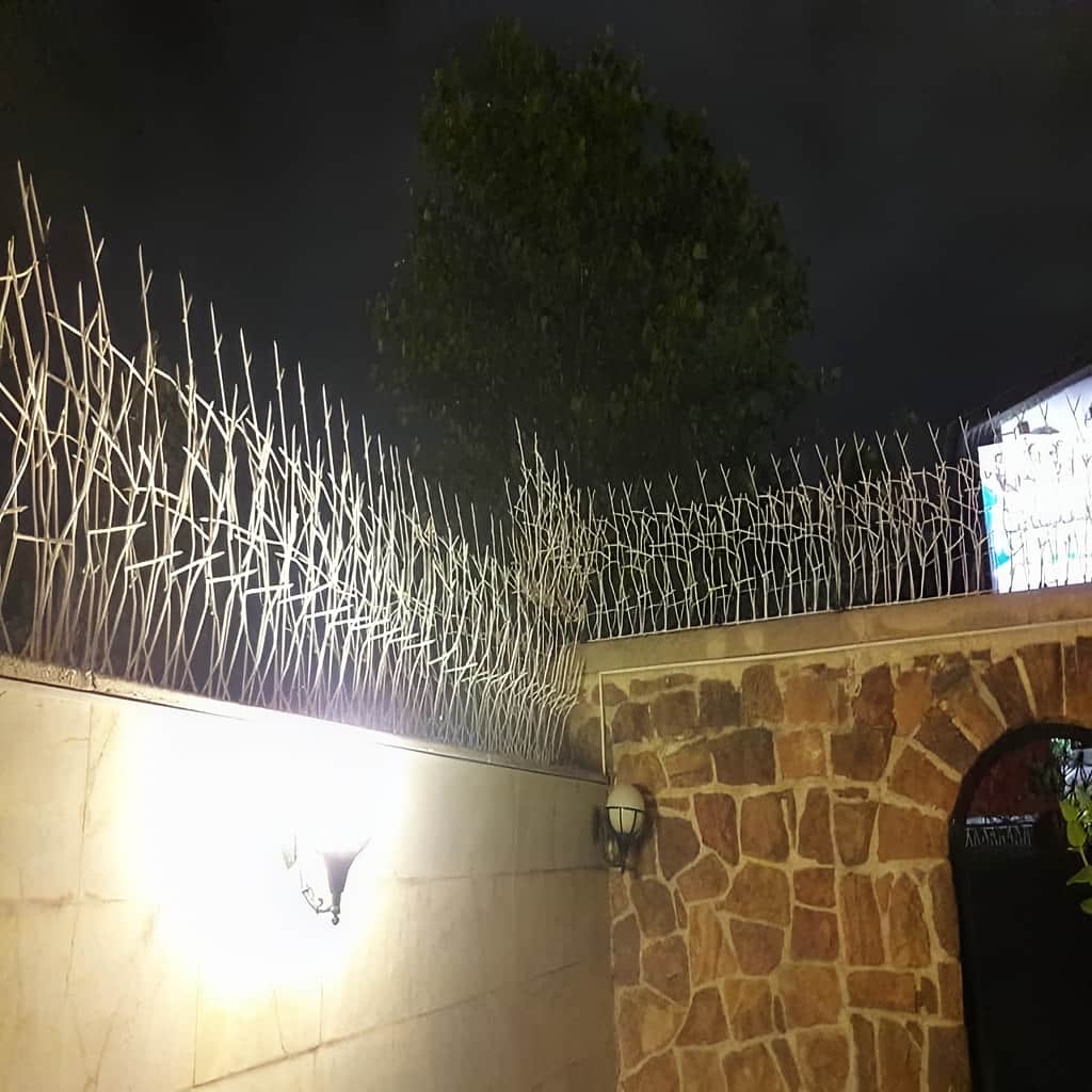 حفاظ شاخ گوزنی خاردار با نصب تراز روی دیوار ساختمان