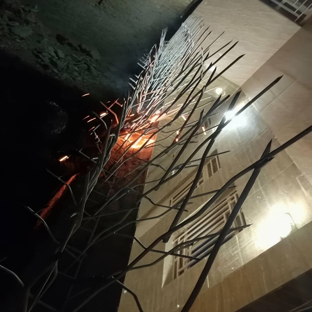 حفاظ شاخ گوزنی با شاخه های متراکم روی لبه دیوار