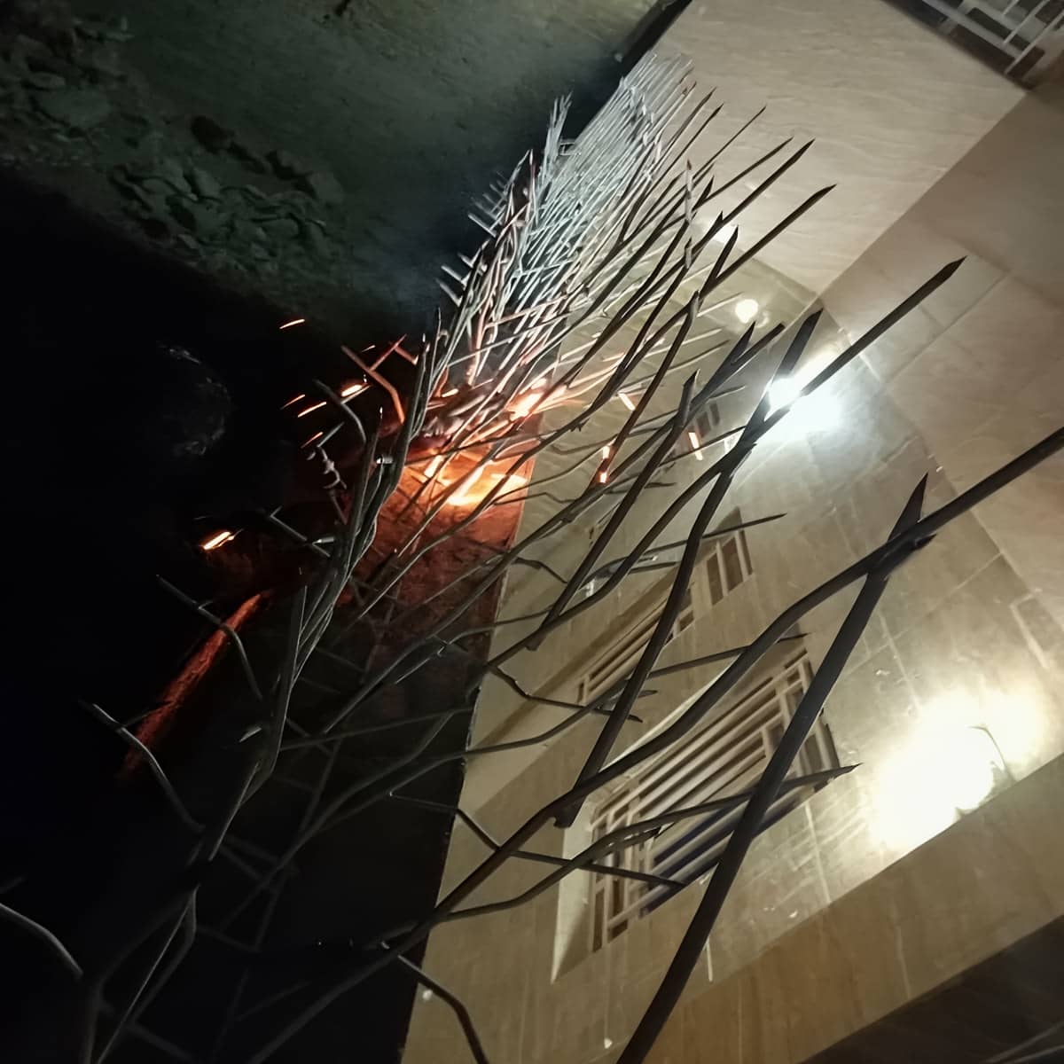 حفاظ شاخ گوزنی و کاربرد آن برای دیوارهای مختلف
