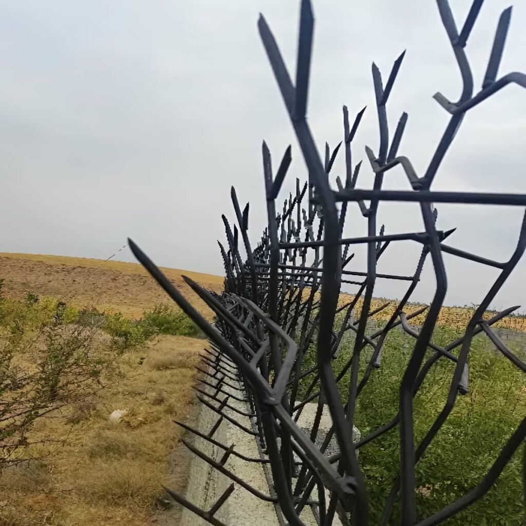 مقایسه حفاظ شاخ گوزنی و سرنیزه ای برای انتخاب بهتر