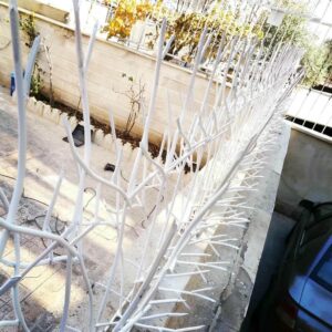 حفاظ شاخ گوزنی خاردار با شاخه های تیز روی لبه دیوار