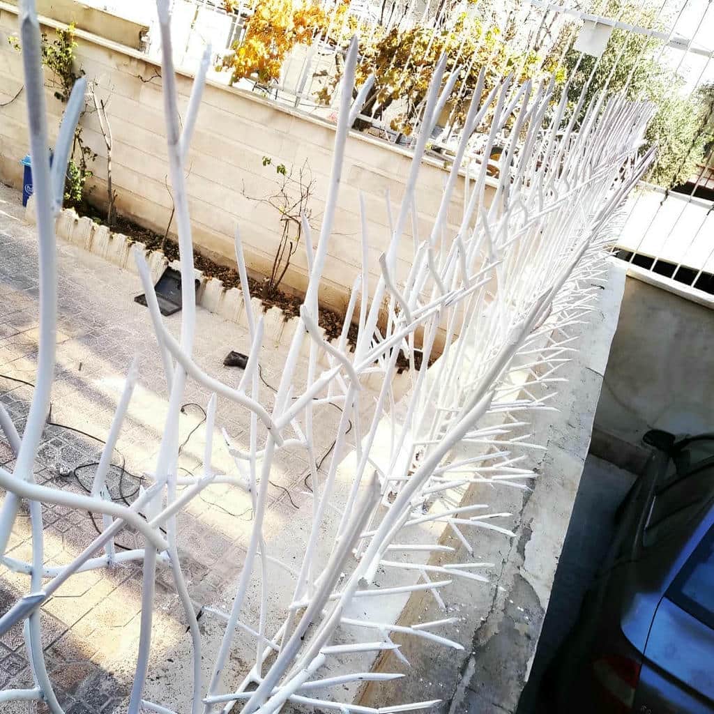 حفاظ شاخ گوزنی خاردار با شاخه های تیز روی لبه دیوار