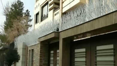 مزیت های حفاظ شاخ گوزنی در امنیت ساختمان و ویلا