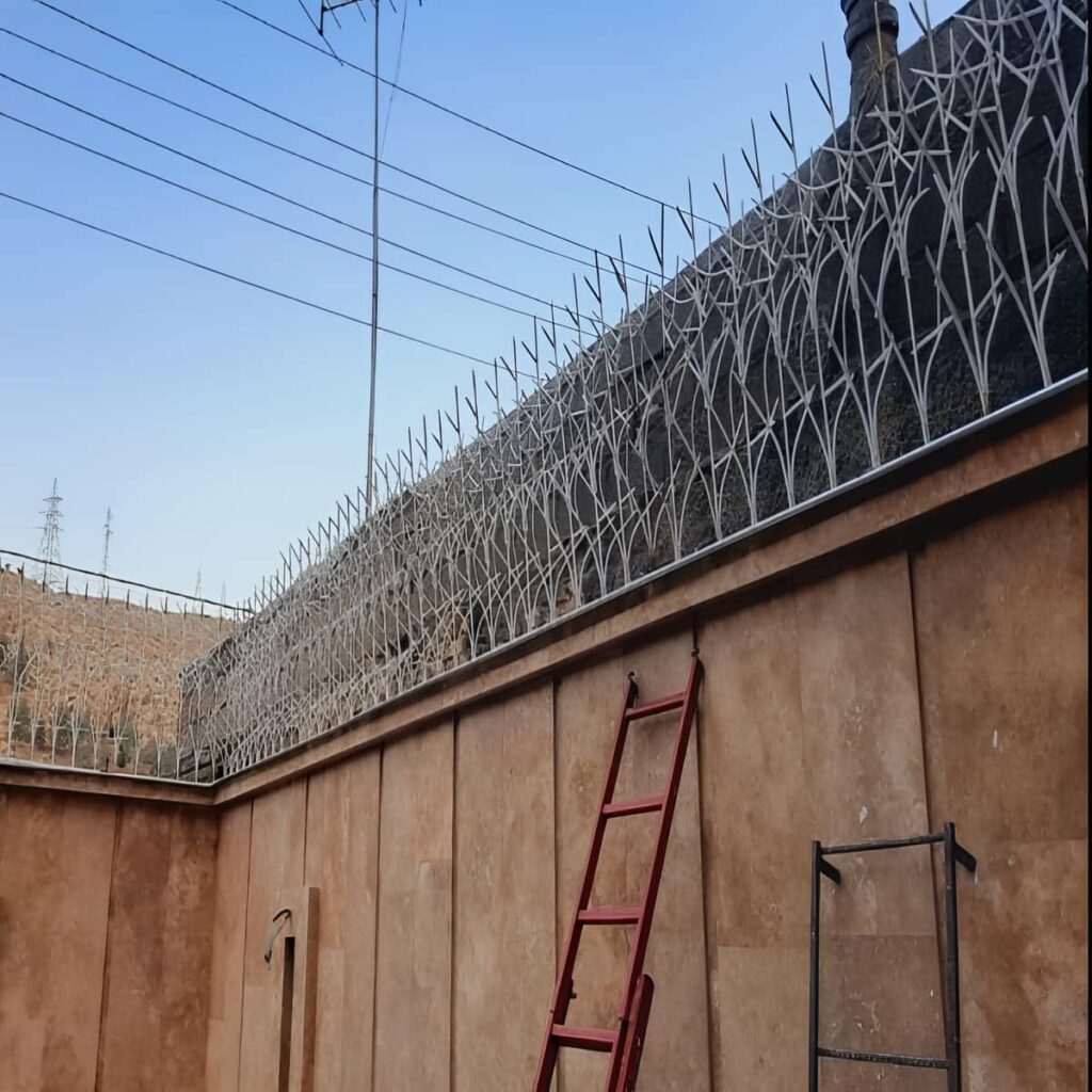خرید حفاظ شاخ گوزنی مناسب دیوار کوتاه باغ