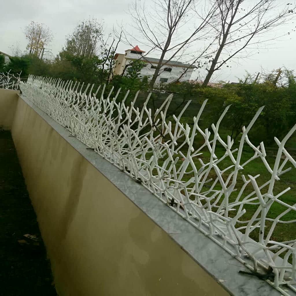 خرید حفاظ شاخ گوزنی پرتراکم برای دیوار کوتاه