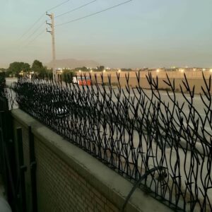 9 نمونه حفاظ بوته ای دیوار پرتراکم