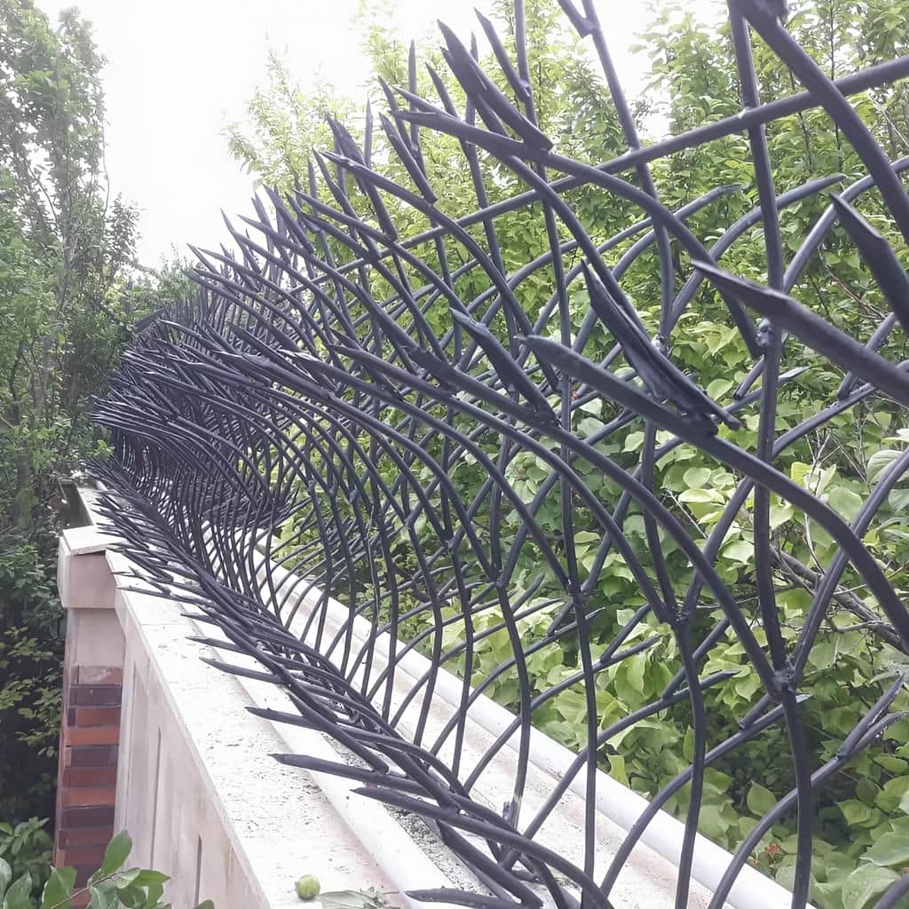 حفاظ غنچه ای دارای پوشش رنگی
