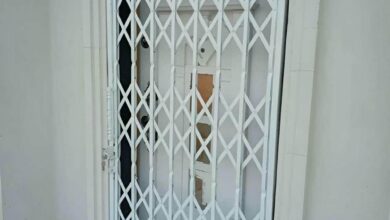 گارد درب آپارتمان فلزی با طراحی سفارشی