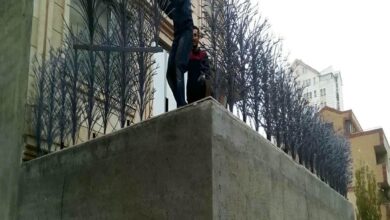 حفاظ روی دیوار مدل شاخ گوزنی فلزی