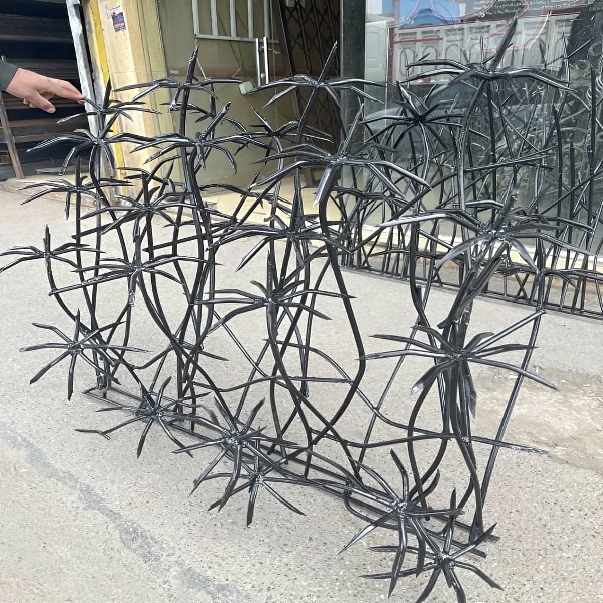 مرکز فروش تخصصی حفاظ نخل مرداب برای سفارش اینترنتی و ارسال به شهرستان