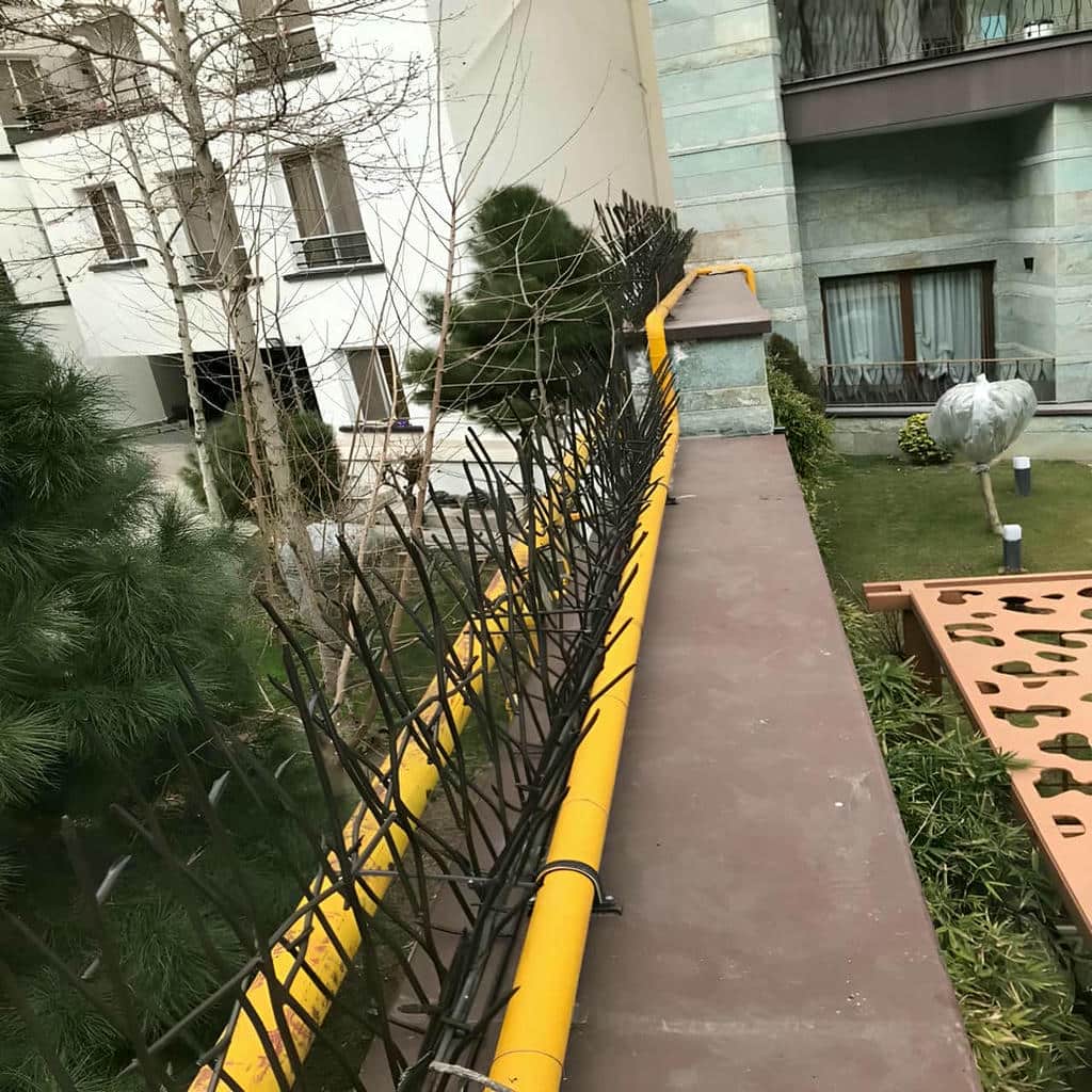 نرده شاخ گوزنی منظم روی دیوار مینیمال