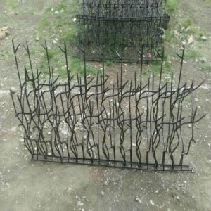 حفاظ دیوار مشکی در استان گلستان کنار نمای سنگی