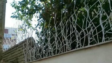 حفاظ دیوار مشکی در استان گیلان با پوشش مقاوم