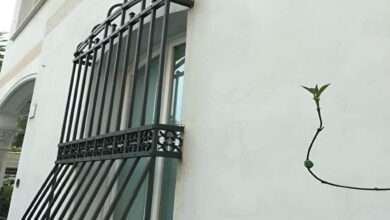 حفاظ پنجره آهنی مشکی در همدان